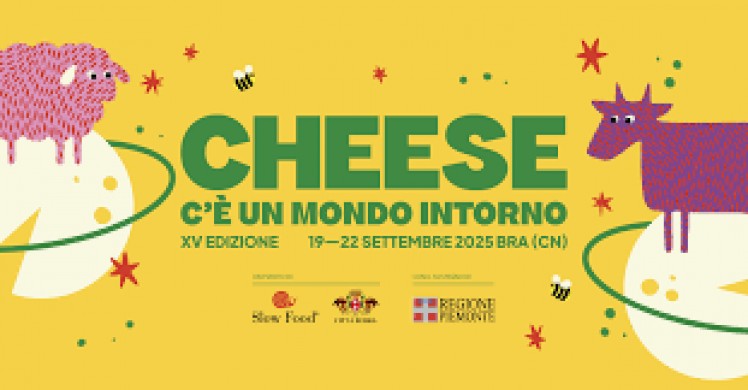 CHEESE 2025 BRA
