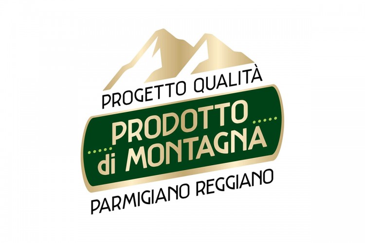 Parmigiano Reggiano di Montagna - 48 mesi 0,500 Kg