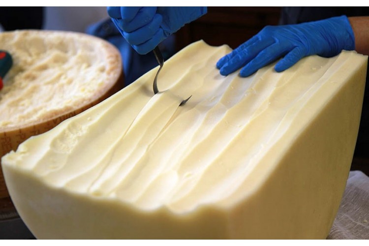 Tosone - Confezione da 0,500 Kg